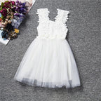 Toddler Girl Cute Party Dress Lace Flowers Dress For Little Princess 2-6 Years
