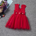 Toddler Girl Cute Party Dress Lace Flowers Dress For Little Princess 2-6 Years