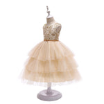 Silver Gold Thread Embroidry Tutu Dress Kids Party Dresses