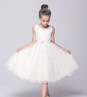 Girl's Elegant Lace Dress Flower Girl Party Dance Dress For Toddler Little Big Girls