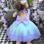 Toddler Flower Girl Dresses Lace Birthday Dress