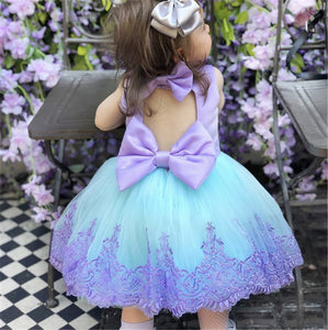 Toddler Flower Girl Dresses Lace Birthday Dress