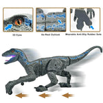Kids RC Dinosaur Toys Roaring Velociraptor with Lights and Sound Electronic Dinosaur Robot