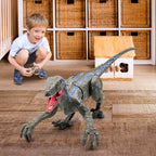 Kids RC Dinosaur Toys Roaring Velociraptor with Lights and Sound Electronic Dinosaur Robot