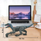 Kids RC Dinosaur Toys Roaring Velociraptor with Lights and Sound Electronic Dinosaur Robot