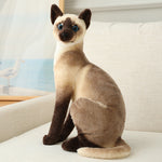 13.7” Siamese Cats Plush Toy Shorthair Cute Orange Cat Lifelike Stuffed Pet Toys for Home Decor